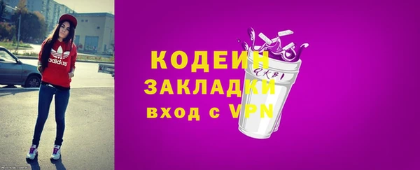 дживик Ельня