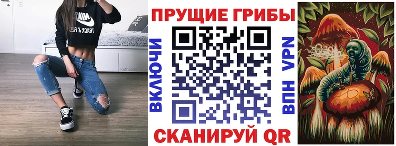 Псилоцибиновые грибы ЛСД Карабаш